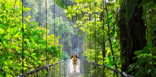 Suspension Bridge, Costa Rica 